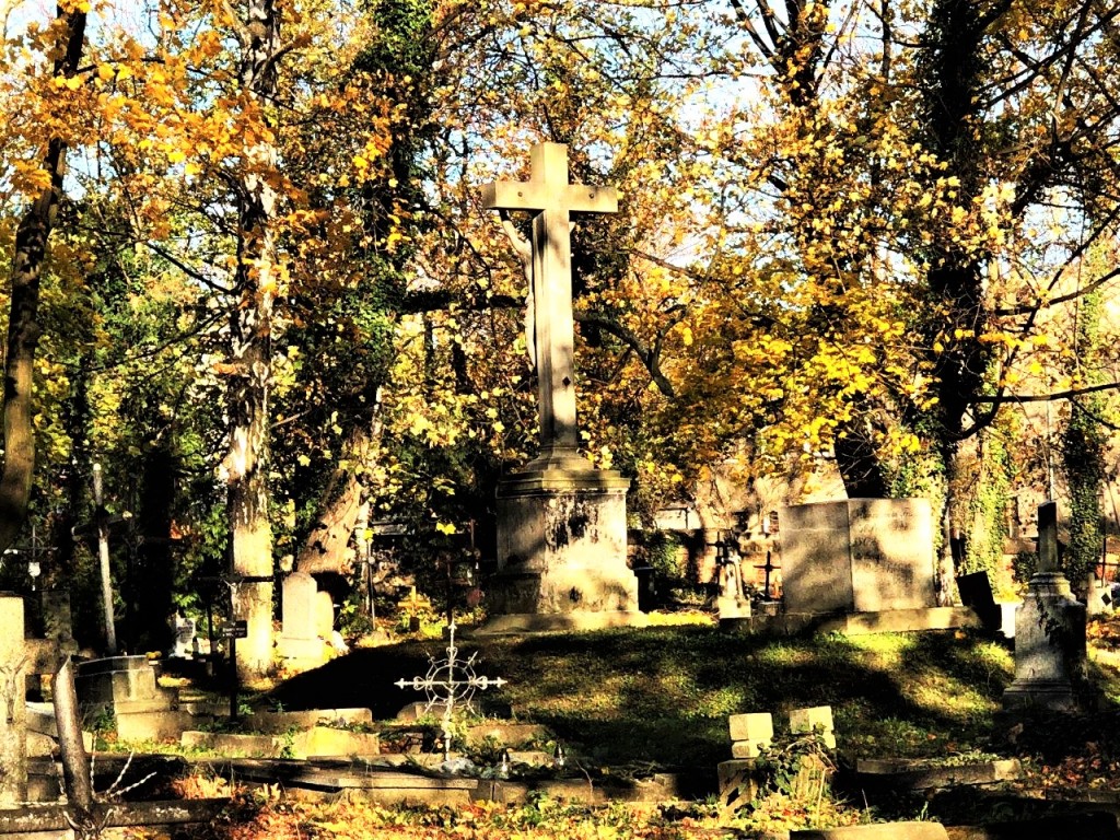 Zaduszki kto potrafi dostrzec w śmierci wielką