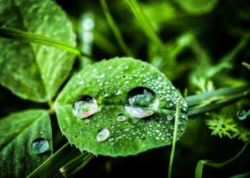 Jeden dzień, dwie wystawy – fotografowanie i malowanie