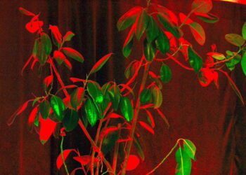 Za oknami przedwiośnie