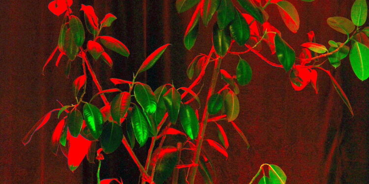 Za oknami przedwiośnie