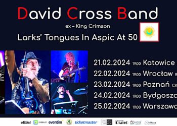 David Cross Band