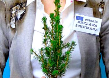 Kompromis wisi na włosku