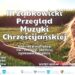 Przegląd Muzyki Chrześcijańskiej
