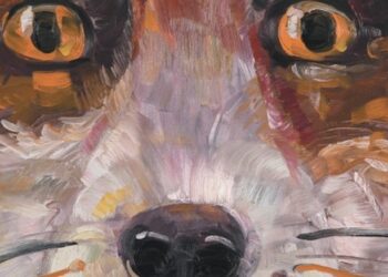 Twórczość Poli Dwurnik